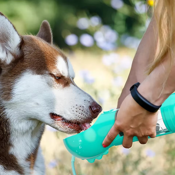 4-i-1 flaske til at hydrere og nære din hund 