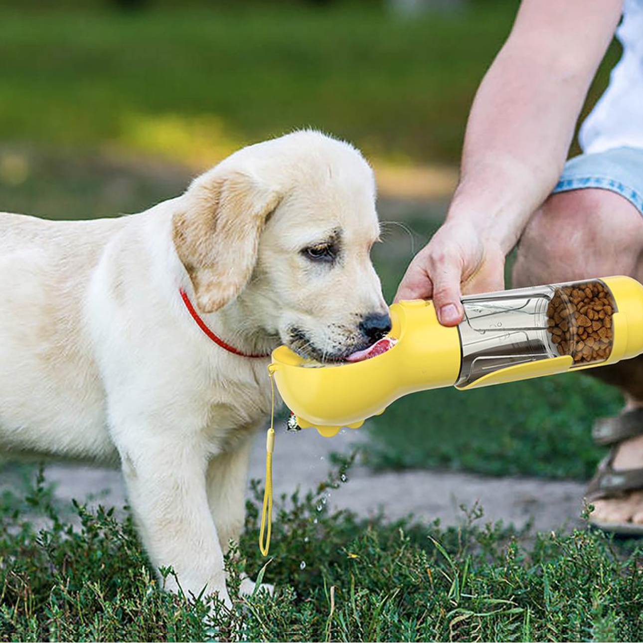 4-i-1 flaske til at hydrere og nære din hund 